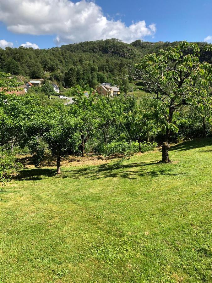 Sokndal - Cozy Vacation Home In Peaceful Surroundings Algard  Ngoại thất bức ảnh